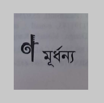 মুর্ধণ্য প্রকাশনী - Murdhanya Publication